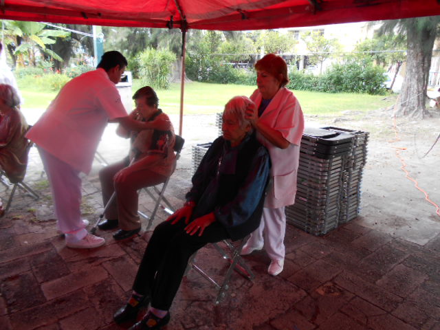 healing touch holistic care for older adults, Guadalajara
